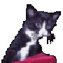 blackmizi.gif