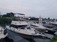 Meine Bayliner